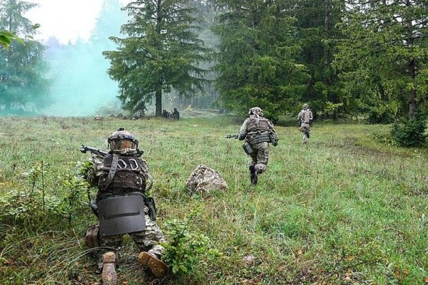 Где найти ссылку на кракен