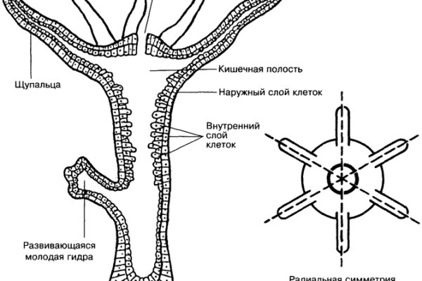 Кракен маркет зеркало