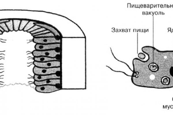 Короткая ссылка на кракен